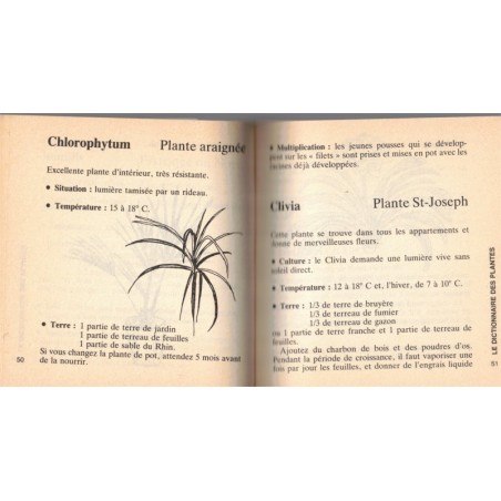 Les plantes d'appartement et l'hydroculture, Michel Saussez, Marabout Flash, 1982 - botanique, flore, jardinage,