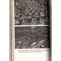 Les Etats-Unis histoire politique économie, 2 tomes, Allen, Marabout 1967 - politique américaine, histoire Amérique, Etats-Unis,