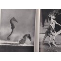 Blick in meine Welt, Paul Eipper, 1939 - nature sauvage, animaux, plantes