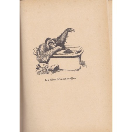 Blick in meine Welt, Paul Eipper, 1939 - nature sauvage, animaux, plantes