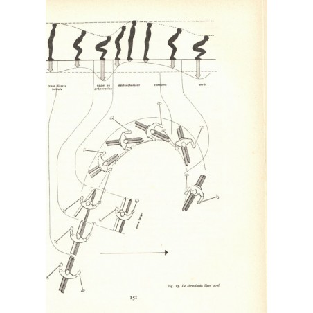 Le ski et les sports d'hiver, Serge Lang, encyclopédie des sports 1960 -  Jeux Olympiques, ski, patinage, hockey sur glace,