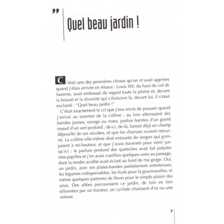 Un village si paisible, Gabriel Schoettel, 2000 - village alsacien, mystère, écrivain alsacien,