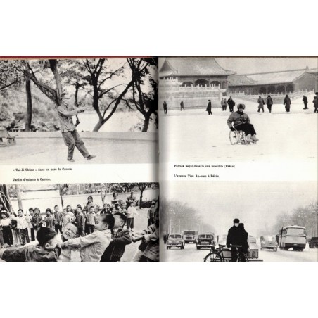 L'homme qui marchait dans sa tête, Patrick Segal, 1979 - fauteuil roulant, tour du monde, biographie,