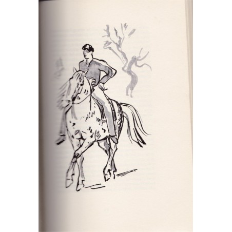 Cheval, mon bel ami - Paul Vialar -, équitation, sports, chevaux, cheval,