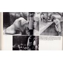 C'est arrivé au zoo, Vitus Dröscher, 1971 - animaux sauvages, animaux captifs, zoos,