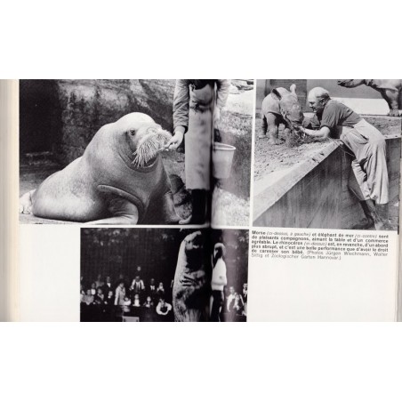 C'est arrivé au zoo, Vitus Dröscher, 1971 - animaux sauvages, animaux captifs, zoos,