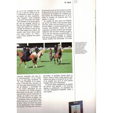 L'Irlande, regards sur l'Europe, Pat Coogan, 1992  -histoire Irlande, tourisme, Grande Bretagne, Europe, beaux livres,