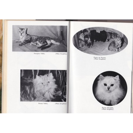 L'art de vivre avec un chat, Philippe de Wailly, 1969 - guide du chat, animaux domestiques, vétérinaire