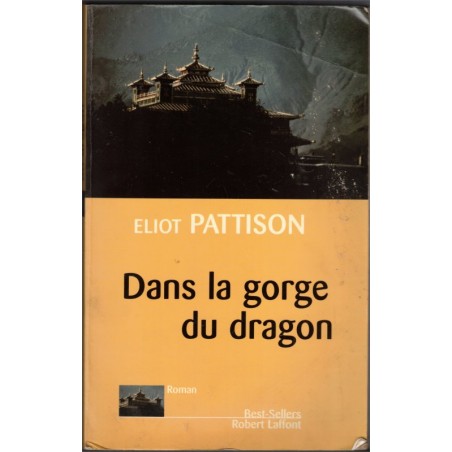 Dans la gorge du dragon, Eliot Pattison, 2002 - Tibet, camp de concentration chinois, moines bouddhistes, roman policier,