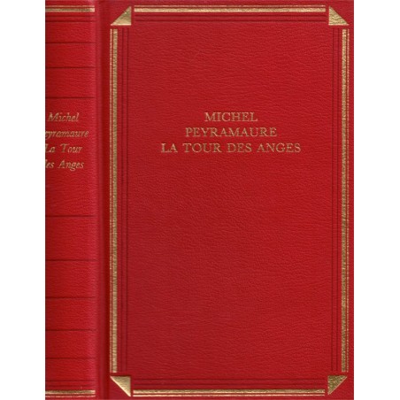La tour des anges, Michel Peyramaure, 1997 - papes à Avignon, pape, XIVe siècle,