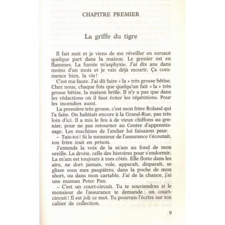 Le champ de personne, Daniel Picouly, 1995 - enfance,