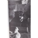 Le royaume des chats, Jeremy Angel, 1987 - chats au Japon, guide des chats, animaux de compagnie