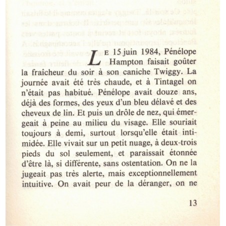Deux amants, Patrick Poivre d'Arvor, 1985 - mystère, roman d'amour, télévision,