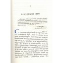 La passion cathare, les fils de l'orgueil, T1, Michel Peyramaure - Occitanie, Languedoc, Cathares, XIIIe siècle, Famot,