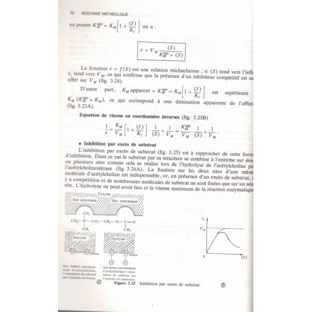 Biochimie métabolique, Audigié et Zonszain, 1995 - chimie, médecine, manuels universitaires,
