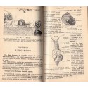 Insectes, sciences naturelles, Boulet et Obré, 1938 - zoologie, insectes, botanique,