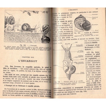 Insectes, sciences naturelles, Boulet et Obré, 1938 - zoologie, insectes, botanique,