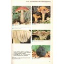 Biologie 5e, Boué, Vallin et Désiré, 1973 - manuels sciences naturelles, zoologie,