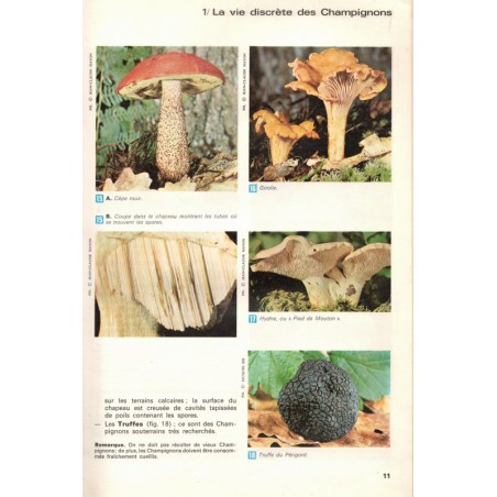 Biologie 5e, Boué, Vallin et Désiré, 1973 - manuels sciences naturelles, zoologie,