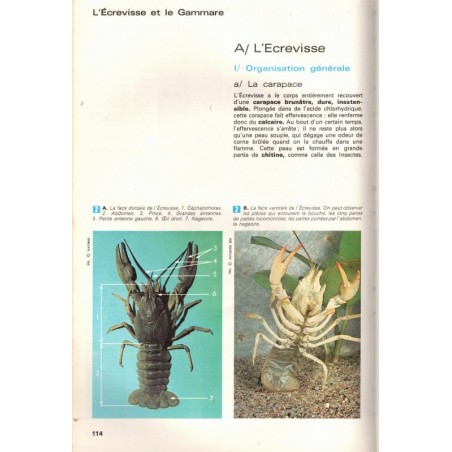 Biologie 5e, Boué, Vallin et Désiré, 1973 - manuels sciences naturelles, zoologie,