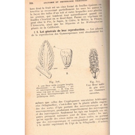 Précis d'histoire naturelle, baccalauréat, Antoine Pizon, 1930 - manuel sciences naturelles, physiologie, zoologie, botanique,