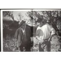 La femme du boulanger, suivi de Jofroi, films de Marcel Pagnol, Jean Giono, 1973 - , Provence, cinéma, collection Pastorelly,