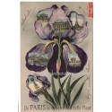 De Paris, je vous envoie cette fleur, timbre Semeuse 10c rouge 1907 - carte postale département 75 Paris, iris, philatélie,