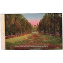 Monte-Carlo, le Casino, - série Côte d'Azur, collection Loel Nice, carte postale Principauté de Monaco,
