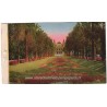 Monte-Carlo, le Casino, - série Côte d'Azur, collection Loel Nice, carte postale Principauté de Monaco,