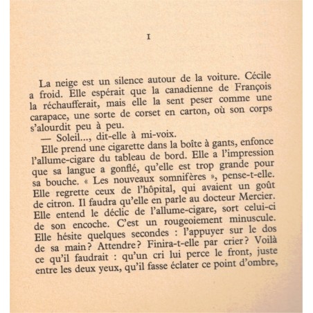 Les étangs de Hollande, Dominique Saint-Alban, 1976 -, amnésie, roman d'amour,