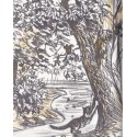 Cats' X. Y. Z. - Beverley Nichols, 1961 -, dessins de chats, amoureux des chats, cats' lovers, children, english