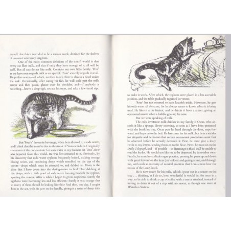 Cats' X. Y. Z. - Beverley Nichols, 1961 -, chats, dessins de chats, amoureux des chats, cats, cats' lovers,