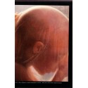 Encyclopédie sexualité, Connaissance de soi, T1, Yves de Saint-Agnès, 1974 -  physiologie, images érotiques