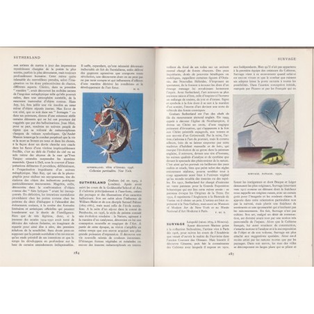 Dictionnaire de la peinture moderne, Robert Maillard, 1958 - peintres, art, édition numérotée