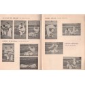 Judo et judo-do, haute école de combat, Hubert Klinger-Klingerstorff, 1952-, arts martiaux,