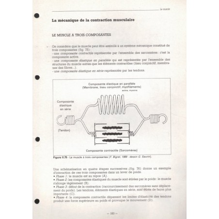 Mémento de l'éducateur sportif, Ministère de la Jeunesse et des sports, INSEP, 1995. études sportives, pédagogie, sports,