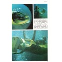La planète océan, Jacques-Yves Cousteau, 1986 -  plongée sous-marine, Calypso, sous-marin, cinéma, océans,