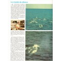 La planète océan, Jacques-Yves Cousteau, 1986 -  plongée sous-marine, Calypso, sous-marin, cinéma, océans,