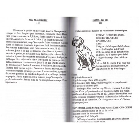 Miel, ail et vinaigre, recettes et remèdes maison, Quillin 1997 - bien-être, vins, recettes cuisine, diététique,