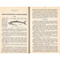 Meilleures recettes culinaires pour poissons et crustacés, Propagande pour la consommation 1964 - recettes, cuisine poisson,