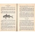 Meilleures recettes culinaires pour poissons et crustacés, Propagande pour la consommation 1964 - recettes, cuisine poisson,