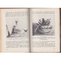 Das Zillebuch, Heinrich Zille, von Hans Osztwald, 1929 - Heinrich Zille, peintres allemands XIXe siècle, Allemagne,