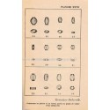 Les fouilles d'Arikamédou, Pattabiramin, 1946 - Indes, dédicacé Surleau, Jouveau-Dubreuil, art hindou, bouddhisme, hindouisme,