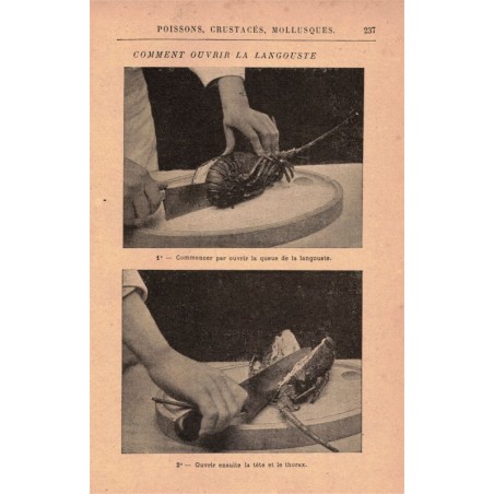 La cuisine et la table modernes, Lambling, 1903, - cuisine traditionnelle, recettes, techniques, vins, ustensiles, décoration,