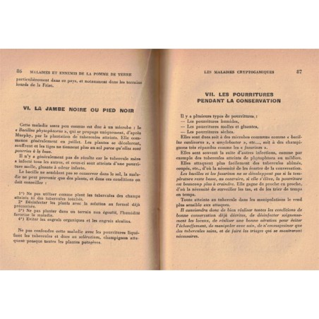 La pomme de terre, culture sélection utilisation, André Gault, 1943 - botanique, jardinage, agriculture,