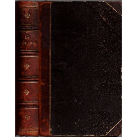 La soeur aînée, Auguste-Marc-Bayeux, 1863 - roman XIXe siècle,