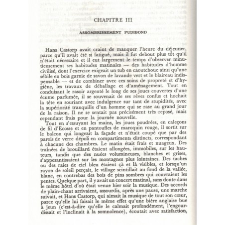 La montagne magique, Thomas Mann, 1982 - sanatorium, bourgeoise allemande, écrivain allemand, littérature allemande,
