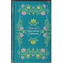 Imprudente Catherine, Magali, 1981 - , jeune fille 1900, roman d'amour, roman sentimental