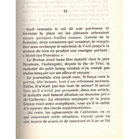 Imprudente Catherine, Magali, 1981 - , jeune fille 1900, roman d'amour, roman sentimental, Jules Tallandier