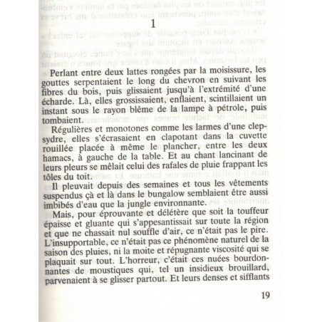 Les promesses du ciel et de la terre, T3 Le grand sillon, Claude Michelet, 1989 -, Chili, Canal de Panama, saga familiale,
